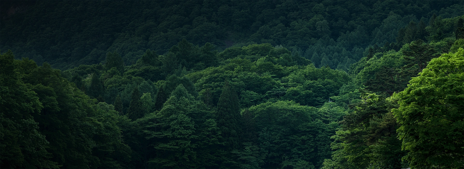 Sustainability Banner